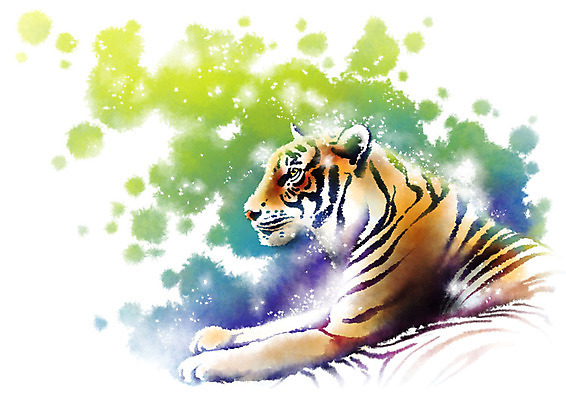 PSD 동물 한마리 캘리배경 일러스트 캘리그라피 붓터치 앉기 사람없음 컬러풀 호랑이 번짐 국내일러스트 1 컬러 백그라운드 포유류 모션 파일형식 효과