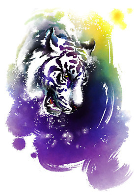 PSD 동물 한마리 캘리배경 일러스트 캘리그라피 붓터치 사람없음 보라색 호랑이 번짐 백호 국내일러스트 1 컬러 백그라운드 포유류 파일형식 효과 사방신