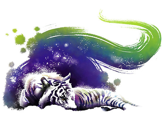 PSD 동물 한마리 엎드리기 캘리배경 일러스트 캘리그라피 붓터치 사람없음 초록색 보라색 호랑이 번짐 백호 국내일러스트 1 컬러 백그라운드 포유류 모션 파일형식 효과 사방신