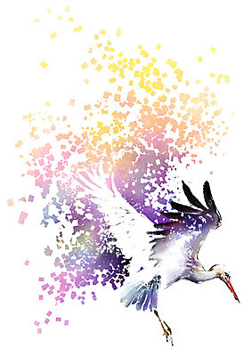 PSD 동물 한마리 캘리배경 날개 일러스트 캘리그라피 붓터치 사람없음 학 비행 번짐 국내일러스트 1 백그라운드 조류 파일형식 효과