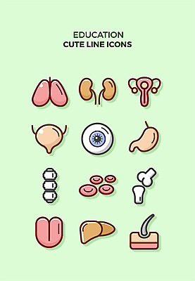 아이콘 교육 뼈 큐티아이콘 털 사람없음 세트 신장 허파 장기 라인아이콘 척추 관절 간 위장 교육아이콘 방광 안구모형 2D아이콘 AI파일 신체 모형 장기_의학 비뇨기관 호흡기관 파일형식 벡터