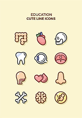 아이콘 교육 신체 해골 큐티아이콘 사람없음 세트 심장 혈액 치아 장기 라인아이콘 두뇌 코 대장 태아 교육아이콘 식도 안구모형 2D아이콘 AI파일 뼈 신체부위 모형 임신 소화기관 장기_의학 뇌 파일형식 벡터