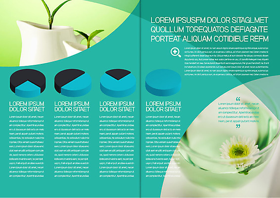 템플릿 표지디자인 북디자인 출판디자인 내지 화분 리플렛 한송이 북커버 그래프 국화 팜플렛 사람없음 물 새싹 여러개 이미지템플릿 AI파일 자연요소 식물 1 꽃 다수 송이 파일형식 벡터