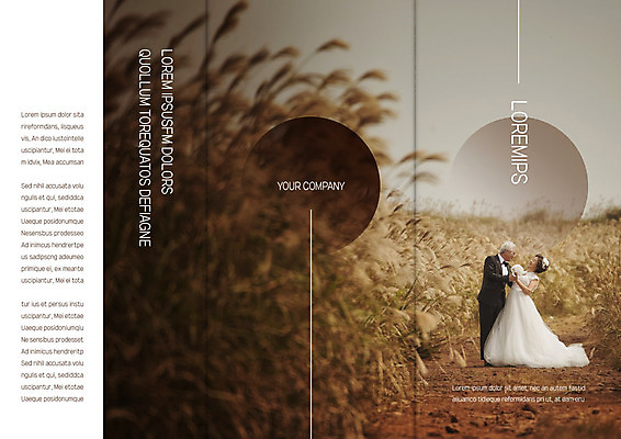 전신 템플릿 표지디자인 북디자인 출판디자인 여자 표지 노년 남자 리플렛 웨딩드레스 북커버 3단접지 두명 세트 손잡기 노부부 한국인 60대 리마인드웨딩 갈대밭 이미지템플릿 AI파일 부부 드레스 결혼 모션 사람 동양인 성인 파일형식 벡터 갈대_식물