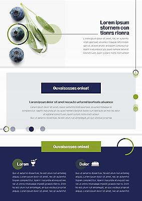 템플릿 표지디자인 북디자인 출판디자인 내지 리플렛 북커버 3단접지 나뭇잎 디저트 사람없음 세트 보라색 블루베리 이미지템플릿 AI파일 음식 컬러 잎 과일 파일형식 벡터