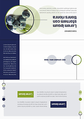 템플릿 표지디자인 북디자인 출판디자인 표지 리플렛 북커버 3단접지 사람없음 세트 보라색 여러개 원형 블루베리 이미지템플릿 AI파일 도형 컬러 다수 과일 파일형식 벡터