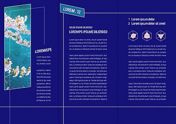 템플릿 표지디자인 북디자인 출판디자인 꽃잎 내지 호수 리플렛 북커버 3단접지 그래프 꽃나무 사람없음 강 세트 반사 나뭇가지 육각형 이미지템플릿 AI파일 도형 나무 꽃 파일형식 벡터