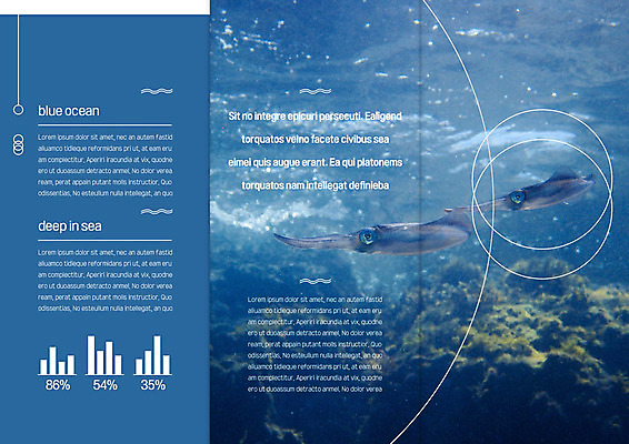 템플릿 표지디자인 북디자인 출판디자인 내지 리플렛 두마리 북커버 3단접지 그래프 사람없음 세트 바닷속 원형 산호 오징어 물결무늬 이미지템플릿 AI파일 도형 물결 2 무늬 연체동물 수중 수중동물 자포동물 파일형식 벡터