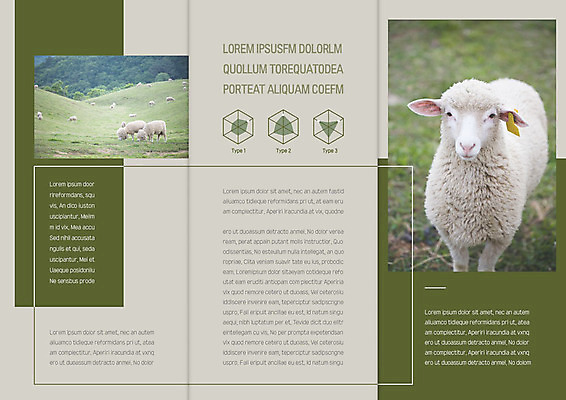 템플릿 표지디자인 북디자인 출판디자인 내지 리플렛 북커버 여러마리 3단접지 초원 사람없음 세트 양 풀잎 먹기 언덕 이미지템플릿 AI파일 다수 잎 포유류 모션 풀_식물 파일형식 벡터