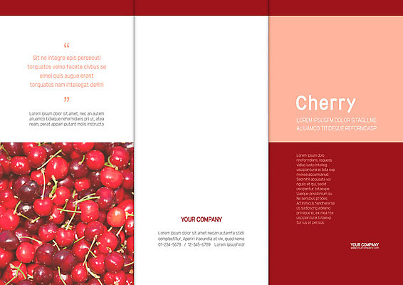 템플릿 표지디자인 북디자인 출판디자인 표지 리플렛 북커버 3단접지 사람없음 빨간색 세트 여러개 체리 이미지템플릿 AI파일 컬러 다수 과일 파일형식 벡터
