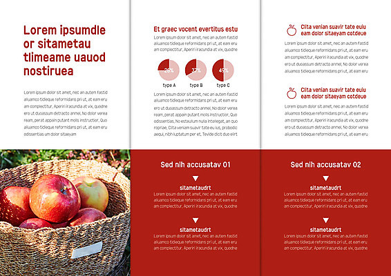 템플릿 표지디자인 북디자인 출판디자인 내지 리플렛 북커버 3단접지 그래프 사람없음 세트 바구니 여러개 수확 사과 이미지템플릿 AI파일 다수 농업 과일 파일형식 벡터