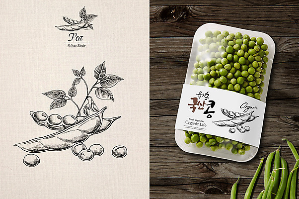 PSD 잎 일러스트 사람없음 스케치 유기농 완두콩 패키지 국산 꼬투리 목업 국내일러스트 식물 웰빙 콩 미술 파일형식