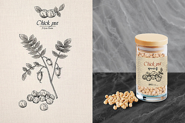 PSD 줄기 잎 일러스트 사람없음 스케치 패키지 밀폐용기 병아리콩 목업 국내일러스트 식물 콩 미술 용기_그릇 파일형식