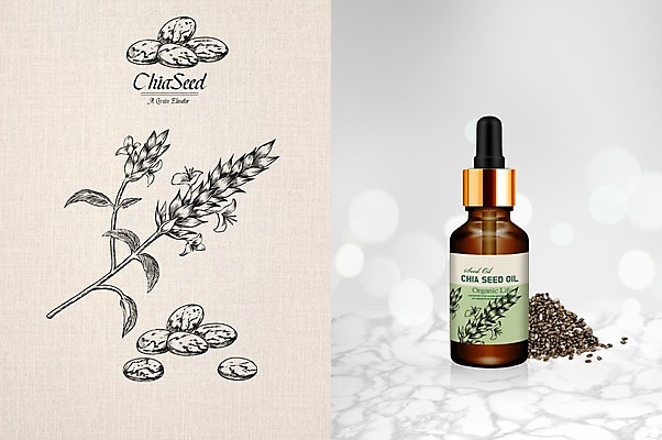 PSD 일러스트 나뭇잎 씨앗 사람없음 오일 스케치 패키지 오일병 목업 국내일러스트 식물 음식 잎 미술 화장품 파일형식