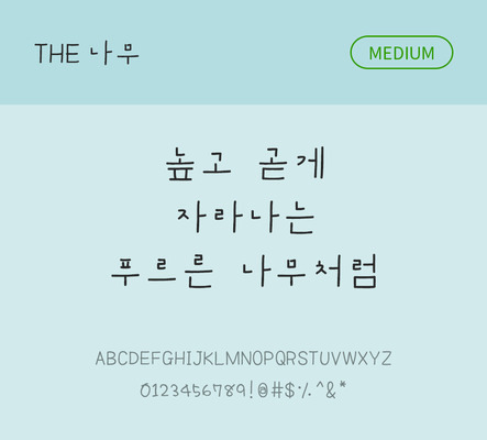 폰트 한글 사람없음 TTF 국문폰트 낱개폰트 설치폰트 디자인서체 미디움체 나무체 문자 파일형식 THE폰트