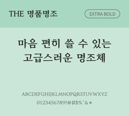 폰트 한글 사람없음 TTF 볼드체 국문폰트 낱개폰트 설치폰트 베이직서체 명품명조체 문자 파일형식 THE폰트