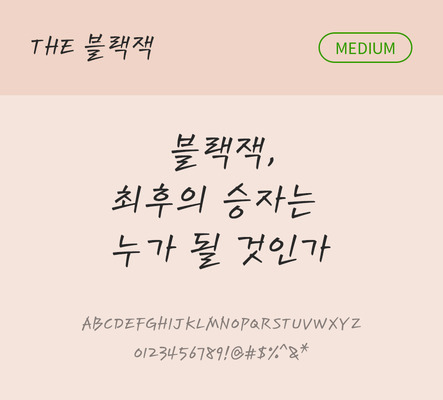 손글씨 폰트 한글 사람없음 TTF 국문폰트 낱개폰트 설치폰트 디자인서체 미디움체 블랙잭체 문자 파일형식 THE폰트