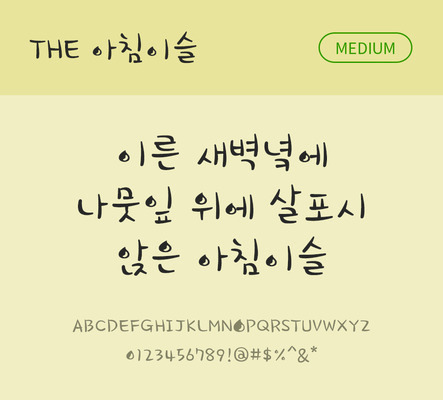 폰트 한글 사람없음 TTF 국문폰트 낱개폰트 설치폰트 디자인서체 미디움체 아침이슬체 문자 파일형식 THE폰트