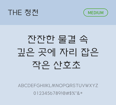폰트 한글 사람없음 TTF 국문폰트 낱개폰트 설치폰트 디자인서체 베이직서체 미디움체 청천체 문자 파일형식 THE폰트