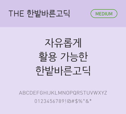 폰트 한글 사람없음 TTF 국문폰트 낱개폰트 설치폰트 베이직서체 미디움체 한밭바른고딕체 문자 파일형식 THE폰트