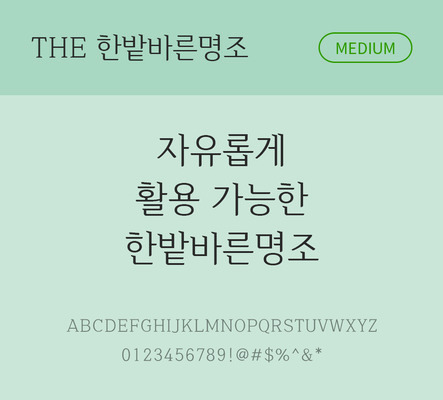 폰트 한글 사람없음 TTF 국문폰트 낱개폰트 설치폰트 디자인서체 베이직서체 미디움체 한밭바른명조체 문자 파일형식 THE폰트