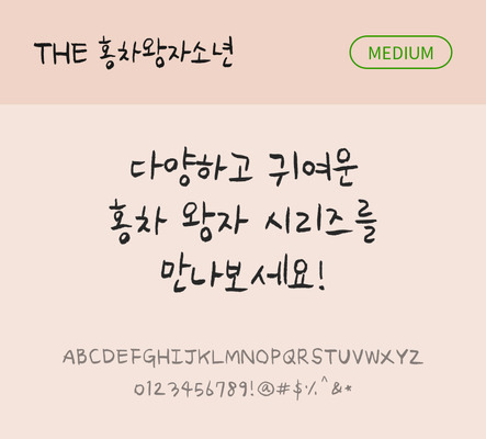 손글씨 폰트 한글 사람없음 TTF 국문폰트 낱개폰트 설치폰트 미디움체 홍차왕자소년체 문자 파일형식 THE폰트