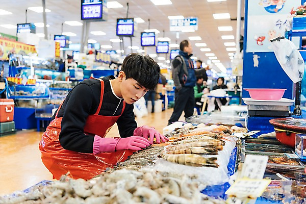 포토 JPG 남자 새우 실내 저울 여러명 상반신 20대 성인 옆모습 청춘 얼음 앞치마 한국인 수조 고객 고무장갑 수산시장 아르바이트 최저임금 비정규직 소상공인 국내포토 자연요소 직업 뷰포인트 장갑 다수 컨셉 비즈니스 갑각류 사람 동양인 청년 내부 경제 시장 상인 고무 파일형식