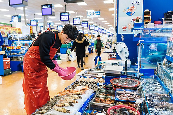 포토 JPG 여자 남자 새우 실내 저울 여러명 상반신 20대 성인 옆모습 청춘 얼음 앞치마 한국인 수조 준비 정리 고무장갑 바가지 수산시장 아르바이트 최저임금 비정규직 소상공인 국내포토 자연요소 직업 뷰포인트 장갑 다수 컨셉 비즈니스 갑각류 사람 동양인 청년 내부 경제 시장 상인 고무 파일형식