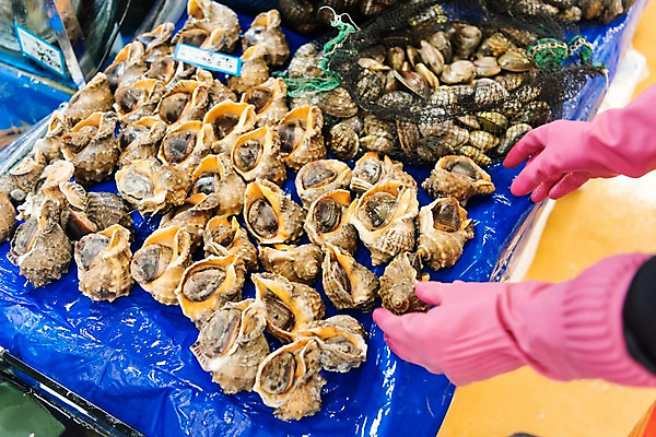 포토 JPG 손 남자 실내 한명 20대 성인 신체부위 청춘 여러개 한국인 소라 고무장갑 수산시장 아르바이트 가판 성인남자한명만 최저임금 비정규직 국내포토 1 장갑 다수 컨셉 비즈니스 어패류 사람 동양인 청년 내부 경제 시장 고무 남자한명만 성인남자만 파일형식