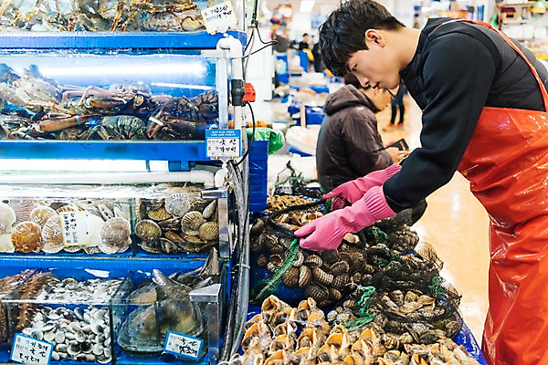 포토 JPG 남자 조개 실내 여러명 상반신 20대 성인 옆모습 청춘 앞치마 한국인 그물 수조 담기 고무장갑 수산시장 아르바이트 최저임금 비정규직 소상공인 국내포토 직업 뷰포인트 장갑 다수 컨셉 비즈니스 모션 어패류 사람 동양인 청년 내부 경제 시장 상인 고무 파일형식