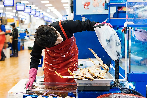 포토 JPG 응시 여자 남자 실내 저울 한명 상반신 20대 성인 앞모습 세명 앞치마 한국인 무게 수조 고무장갑 수산시장 아르바이트 킹크랩 최저임금 비정규직 소상공인 국내포토 직업 1 시선 뷰포인트 장갑 비즈니스 사람 동양인 청년 내부 경제 게 시장 상인 고무 파일형식