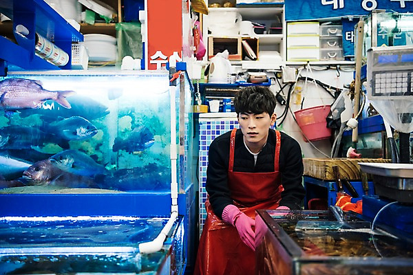 포토 JPG 응시 남자 생각 실내 어류 한명 상반신 20대 성인 앞모습 청춘 앞치마 한국인 수조 고무장갑 수산시장 아르바이트 성인남자한명만 최저임금 비정규직 소상공인 국내포토 직업 1 시선 뷰포인트 장갑 컨셉 비즈니스 사람 동양인 청년 내부 경제 수중동물 시장 상인 고무 남자한명만 성인남자만 파일형식