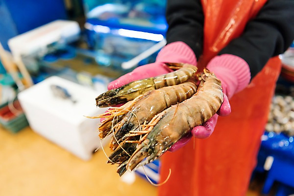 포토 JPG 남자 새우 실내 한명 들기 상반신 20대 성인 앞모습 청춘 앞치마 한국인 수조 고무장갑 수산시장 아르바이트 성인남자한명만 최저임금 비정규직 소상공인 국내포토 직업 1 뷰포인트 장갑 컨셉 비즈니스 모션 갑각류 사람 동양인 청년 내부 경제 시장 상인 고무 남자한명만 성인남자만 파일형식