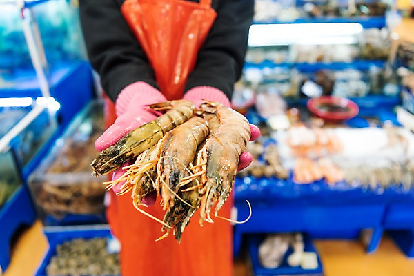 포토 JPG 남자 새우 실내 한명 들기 상반신 20대 성인 앞모습 청춘 앞치마 한국인 수조 고무장갑 수산시장 아르바이트 성인남자한명만 최저임금 비정규직 소상공인 국내포토 직업 1 뷰포인트 장갑 컨셉 비즈니스 모션 갑각류 사람 동양인 청년 내부 경제 시장 상인 고무 남자한명만 성인남자만 파일형식