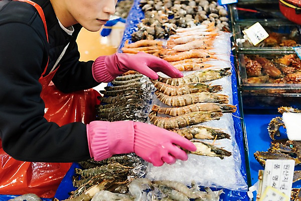 포토 JPG 남자 조개 새우 실내 한명 상반신 20대 성인 옆모습 청춘 얼음 앞치마 한국인 게 상품 수조 준비 정리 고무장갑 수산시장 아르바이트 멍게 성인남자한명만 최저임금 비정규직 소상공인 국내포토 자연요소 직업 1 뷰포인트 장갑 컨셉 비즈니스 어패류 갑각류 사람 동양인 청년 내부 경제 바다동물 시장 상인 고무 남자한명만 성인남자만 파일형식