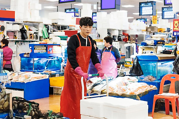 포토 JPG 여자 남자 실내 어류 여러명 상반신 20대 성인 앞모습 청춘 앞치마 카트 한국인 운반 수조 고무장갑 수산시장 아르바이트 스티로폼박스 최저임금 비정규직 소상공인 국내포토 직업 뷰포인트 장갑 다수 컨셉 비즈니스 사람 동양인 청년 내부 경제 상자 수중동물 시장 상인 고무 파일형식