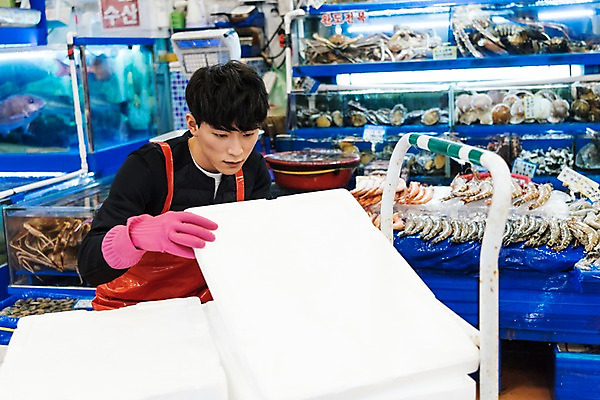 포토 JPG 응시 남자 새우 실내 어류 한명 상반신 20대 성인 앞모습 청춘 앞치마 카트 한국인 수조 고무장갑 수산시장 아르바이트 스티로폼박스 성인남자한명만 최저임금 비정규직 소상공인 국내포토 직업 1 시선 뷰포인트 장갑 컨셉 비즈니스 갑각류 사람 동양인 청년 내부 경제 상자 수중동물 시장 상인 고무 남자한명만 성인남자만 파일형식