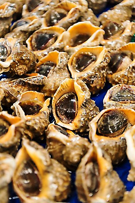 포토 JPG 여러마리 사람없음 신선 소라 해산물 수산시장 가판 국내포토 다수 어패류 시장 파일형식