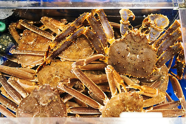 포토 JPG 여러마리 사람없음 신선 해산물 수산시장 킹크랩 가판 국내포토 다수 게 시장 파일형식