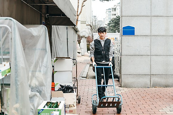 포토 JPG 주간 전신 남자 한명 20대 성인 야외 앞모습 청춘 한국인 운반 밀기 종이상자 마트 비닐 아르바이트 성인남자한명만 최저임금 비정규직 국내포토 자연요소 1 뷰포인트 컨셉 비즈니스 모션 재질 사람 동양인 청년 경제 상자 상점 남자한명만 성인남자만 파일형식