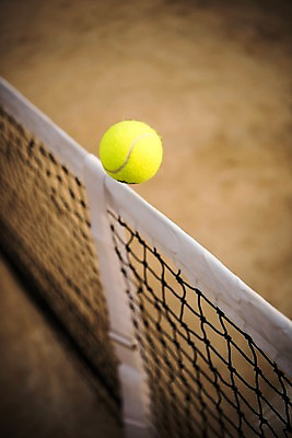 포토 JPG 주간 사람없음 야외 공중 한개 테니스 테니스용품 네트 테니스장 테니스공 국내포토 자연요소 1 스포츠용품 스포츠 공 스포츠시설 구기 파일형식