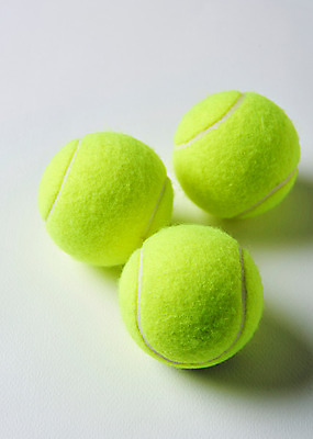 포토 JPG 스튜디오촬영 실내 사람없음 테니스 테니스용품 세개 테니스공 국내포토 스포츠용품 공 3 내부 구기 파일형식