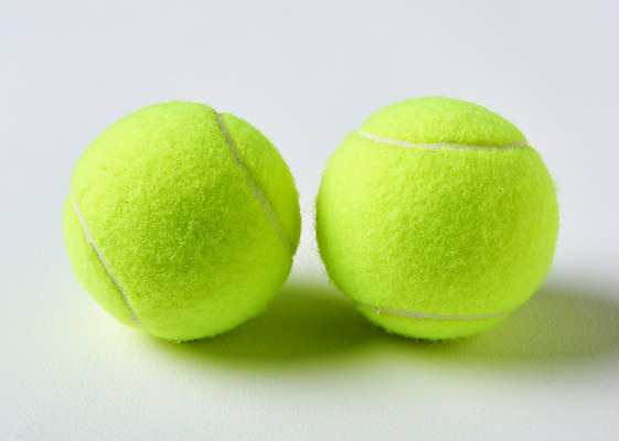 포토 JPG 스튜디오촬영 실내 사람없음 두개 테니스 테니스용품 테니스공 국내포토 스포츠용품 2 공 내부 구기 파일형식