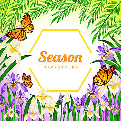 PSD 계절 나비 백그라운드 꽃백그라운드 일러스트 프레임 세마리 사람없음 육각형 꽃프레임 버들가지 창포꽃 국내일러스트 도형 꽃 곤충 3 파일형식