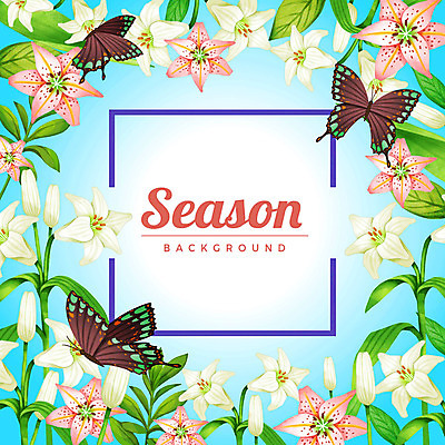PSD 계절 나비 백그라운드 꽃백그라운드 일러스트 사각프레임 세마리 사람없음 사각형 백합 꽃프레임 국내일러스트 도형 꽃 곤충 프레임 3 파일형식
