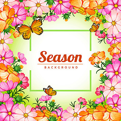 PSD 계절 나비 백그라운드 잎 꽃백그라운드 일러스트 사각프레임 세마리 사람없음 사각형 가을 코스모스 꽃프레임 가을배경 국내일러스트 도형 식물 꽃 곤충 프레임 3 파일형식 가을_계절