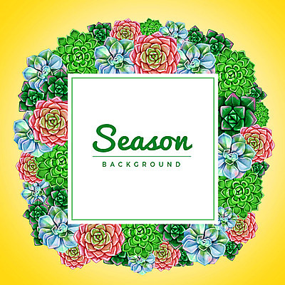 PSD 계절 꽃 백그라운드 꽃백그라운드 일러스트 사각프레임 사람없음 사각형 여러개 꽃프레임 다육식물 국내일러스트 도형 식물 다수 프레임 파일형식