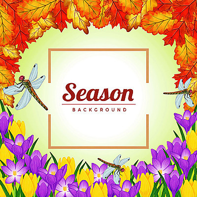 PSD 계절 꽃 백그라운드 단풍 꽃백그라운드 일러스트 사각프레임 세마리 사람없음 사각형 잠자리 꽃프레임 국내일러스트 도형 식물 곤충 잎 프레임 3 파일형식
