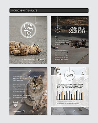 PSD 동물 템플릿 웹템플릿 그래프 세마리 사람없음 세트 고양이 반려 카드뉴스 장방형 이미지템플릿 포유류 3 반려동물 파일형식