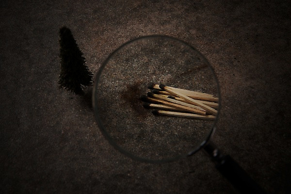 포토 JPG 스튜디오촬영 나무 돋보기 실내 사람없음 어둠 여러개 확대 성냥 국내포토 식물 다수 내부 파일형식